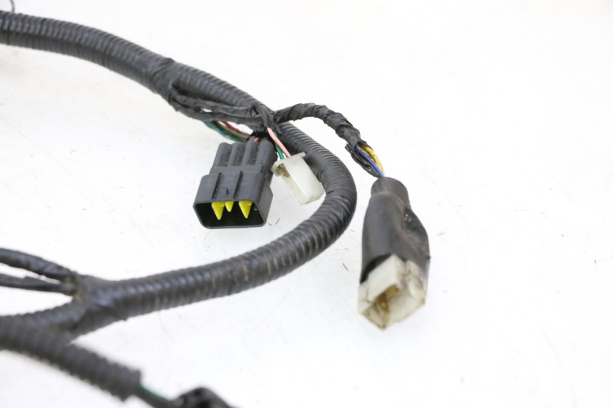 photo de WIRING HARNESS ORCAL CAVARO 4T 50 (2019 - 2023) - Additional view of the item