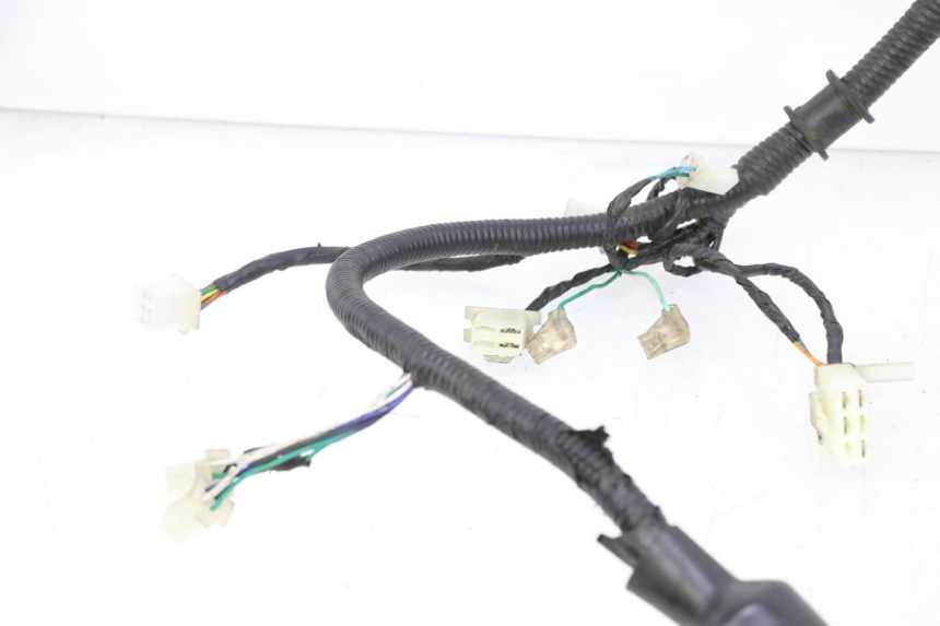 photo de WIRING HARNESS ORCAL CAVARO 4T 50 (2019 - 2023) - Fixing points details