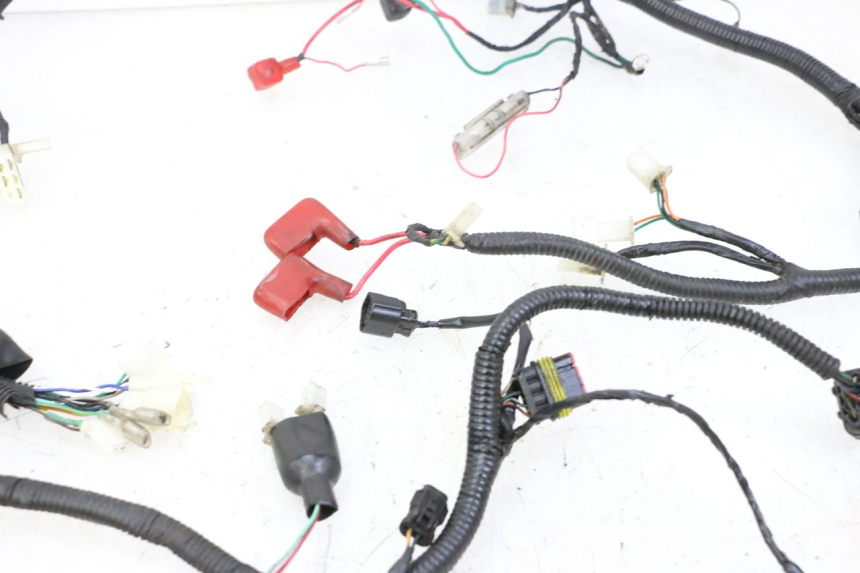 photo de WIRING HARNESS ORCAL CAVARO 4T 50 (2019 - 2023) - Markings and original references