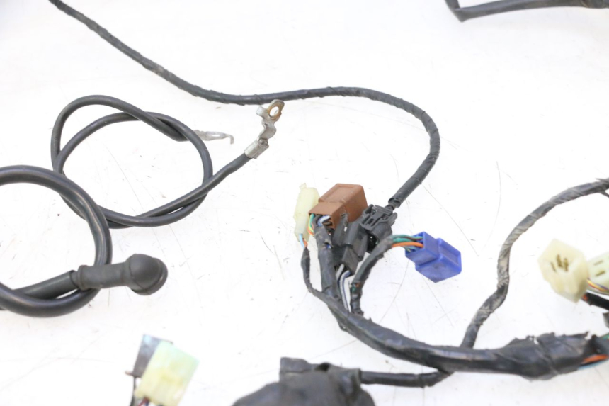 photo de WIRE HARNESS HONDA CB F HORNET 600 (2005 - 2006) - Additional view of the item