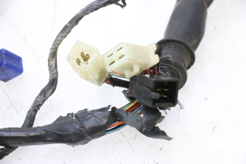 photo de WIRE HARNESS HONDA CB F HORNET 600 (2005 - 2006) - Distinctive features