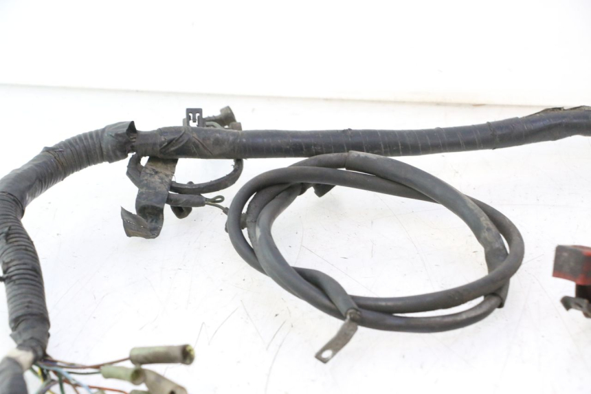 photo de WIRE HARNESS HONDA CB TWO FIFTY 250 (1991 - 2002) - Alternative perspective