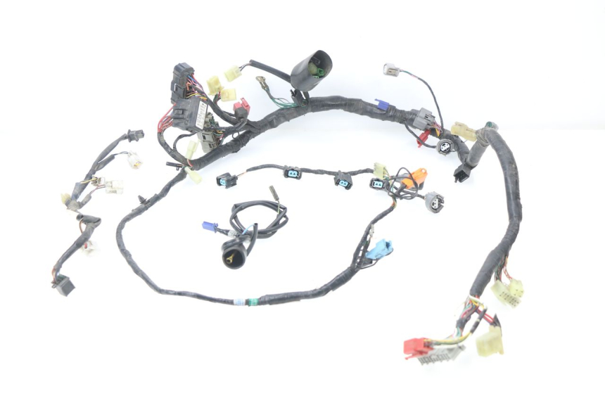 photo de WIRE HARNESS HONDA CBR 929 RR FIREBLADE 900 (2000 - 2001) - Component detail