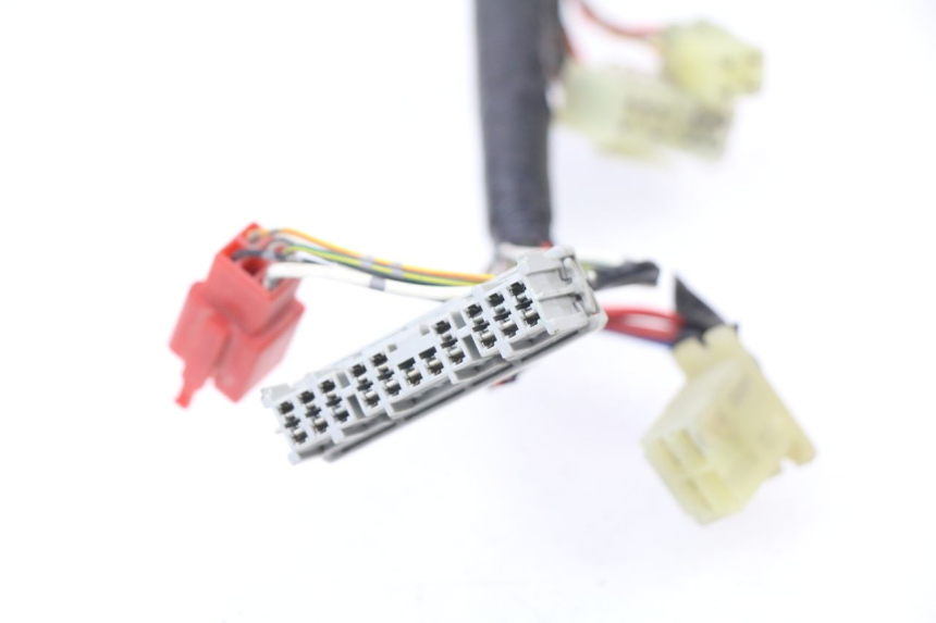 photo de WIRE HARNESS HONDA CBR 929 RR FIREBLADE 900 (2000 - 2001) - High-resolution close-up