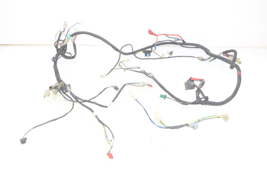 photo de WIRING HARNESS TGB CITY 2 50 (2009 - 2013) - Main view
