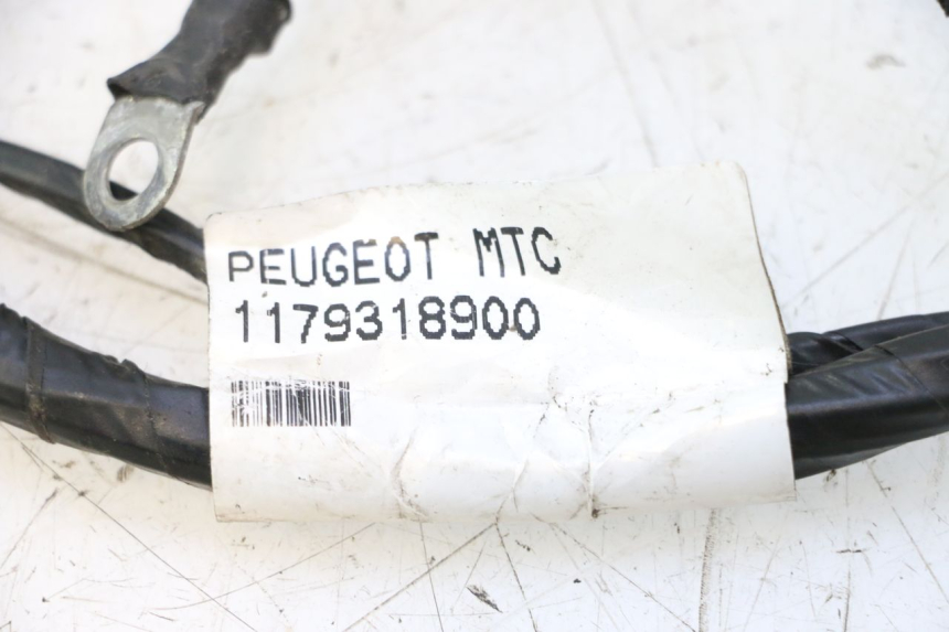 photo de WIRING HARNESS PEUGEOT CITYSTAR 2T 50 (2018 - 2021) - Alternative perspective