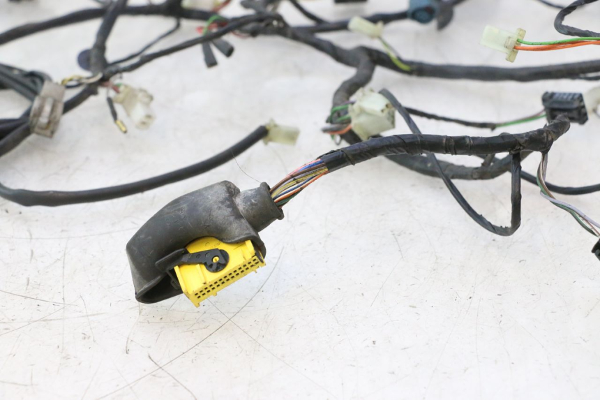photo de WIRING HARNESS PEUGEOT CITYSTAR 2T 50 (2018 - 2021) - Distinctive features
