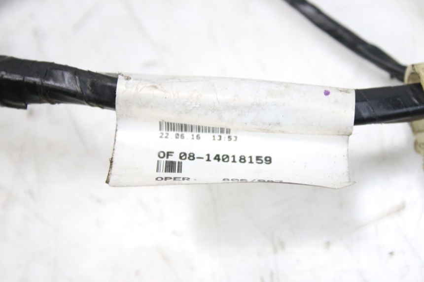 photo de WIRING HARNESS PEUGEOT CITYSTAR 50 (2013 - 2017) - Component detail