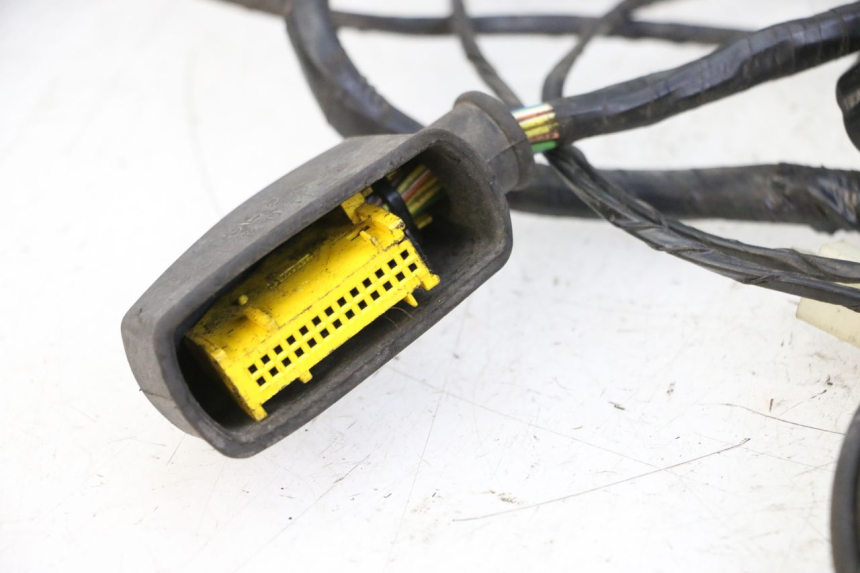 photo de WIRING HARNESS PEUGEOT CITYSTAR 50 (2013 - 2017) - Product overview