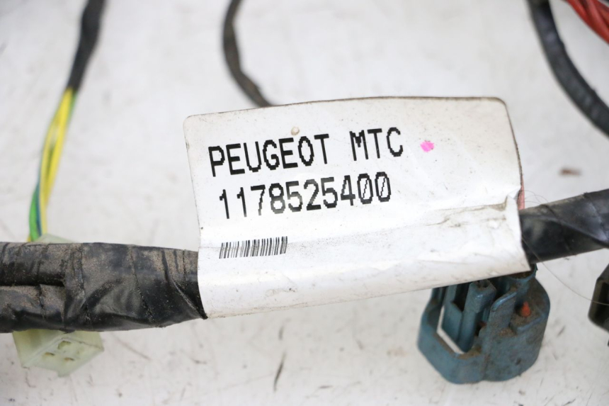 photo de WIRING HARNESS PEUGEOT CITYSTAR 50 (2013 - 2017) - Surface and material condition