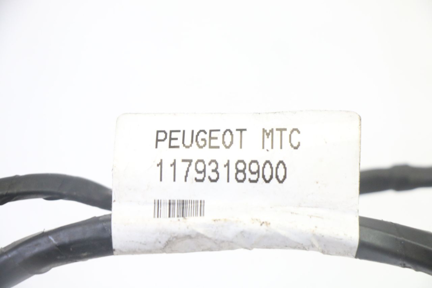 photo de WIRING HARNESS PEUGEOT CITYSTAR 50 (2013 - 2017) - Markings and original references