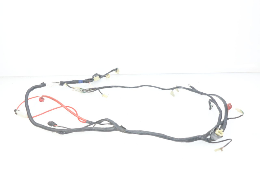 photo de WIRING HARNESS RIDE CLASSIC 2T 50 (2014 - 2022) - Zoom on usage condition