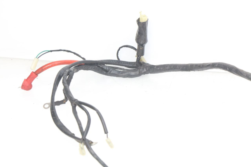 photo de WIRING HARNESS RIDE CLASSIC 2T 50 (2014 - 2022) - Alternative perspective