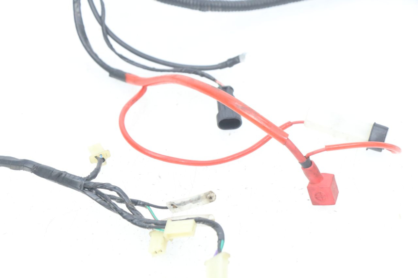 photo de WIRING HARNESS RIDE CLASSIC 2T 50 (2014 - 2022) - Technical close-up