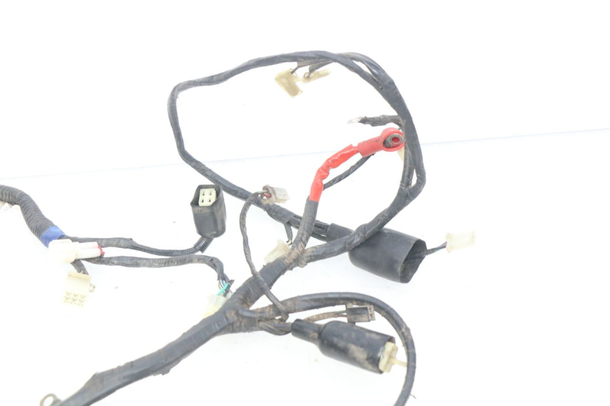 photo de WIRING HARNESS RIDE CLASSIC 2T 50 (2014 - 2022) - Technical close-up