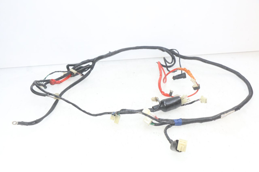 photo de WIRING HARNESS RIDE CLASSIC 2T 50 (2014 - 2022) - Main view