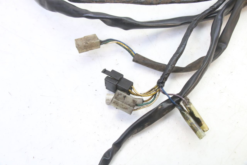 photo de WIRE HARNESS APRILIA CLASSIC 125 (1995 - 2001) - Zoom on usage condition