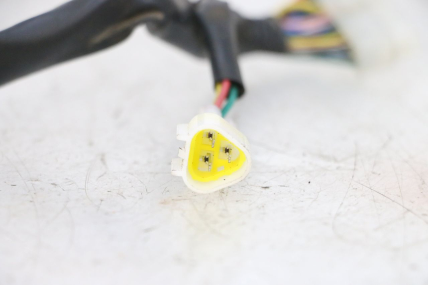 photo de SPEEDOMETER WIRE HARNESS MAG POWER BOMBERS 4T 50 (2016 - 2026) - Alternative perspective