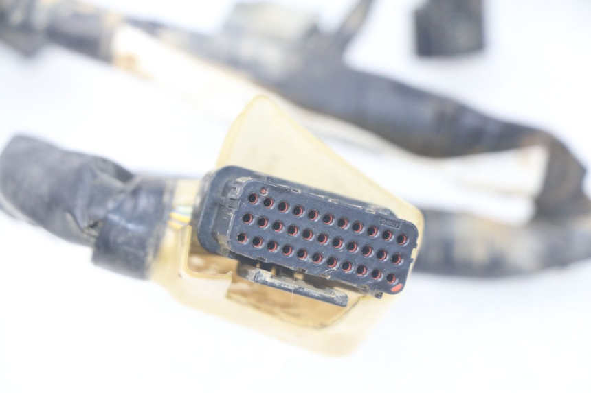 photo de WIRING HARNESS HONDA CRF 250 (2013 - 2016) - Technical close-up