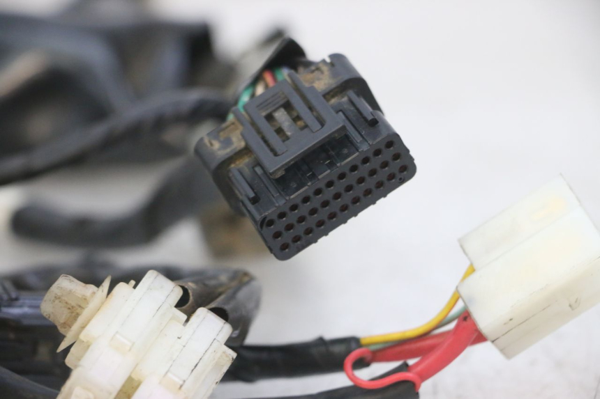 photo de WIRE HARNESS HONDA CRF-F CRF F 110 (2019 - 2022) - Markings and original references