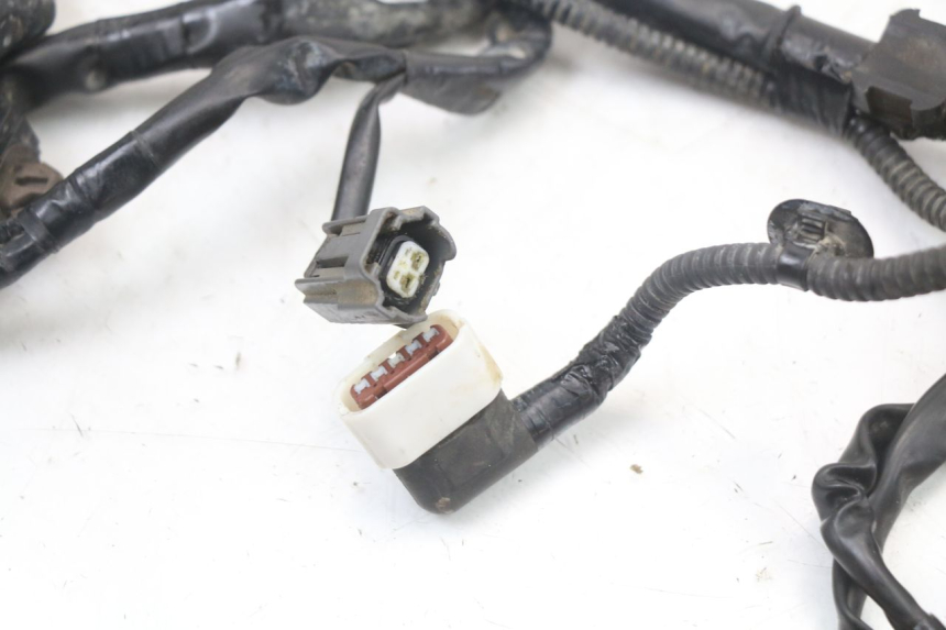 photo de WIRE HARNESS HONDA CRF R 250 (2020 - 2021) - Fixing points details