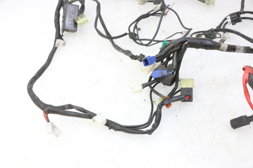 photo de WIRING HARNESS YAMAHA CYGNUS X INJECTION 125 (2007 - 2013) - Markings and original references