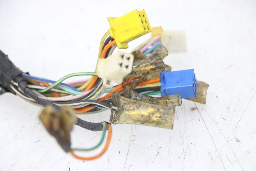 photo de WIRE HARNESS SKYTEAM DAX REPLICA 110 (2005 - 2015) - Alternative perspective