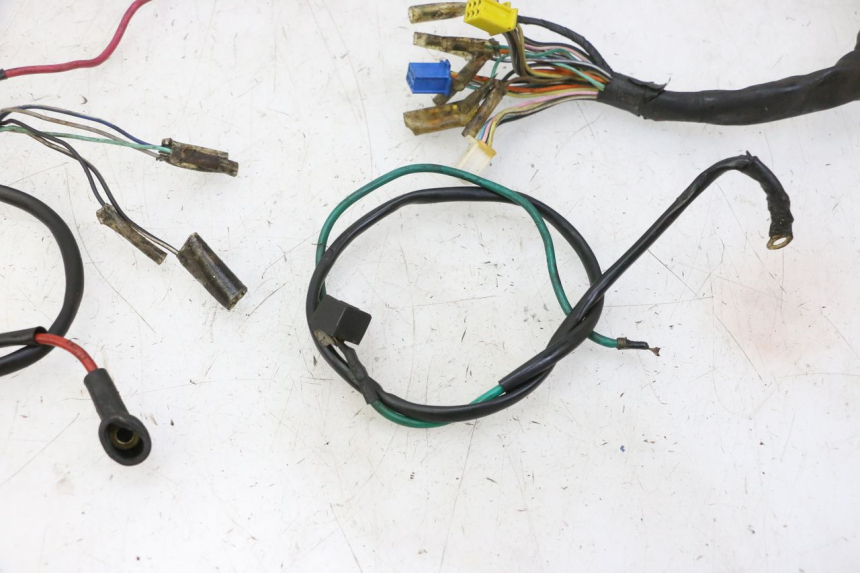 photo de WIRE HARNESS SKYTEAM DAX REPLICA 110 (2005 - 2015) - Surface and material condition