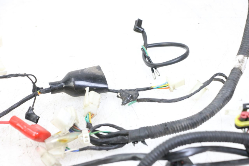 photo de WIRING HARNESS LONGJIA DIGITA 4T 50 (2019 - 2022) - Additional view of the item