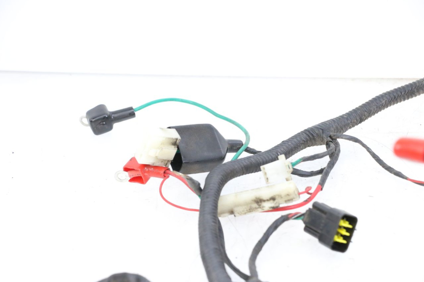 photo de WIRING HARNESS LONGJIA DIGITA 4T 50 (2019 - 2022) - Surface and material condition