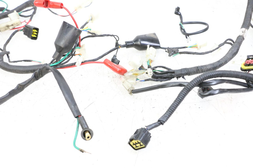 photo de WIRING HARNESS LONGJIA DIGITA 4T 50 (2019 - 2022) - Markings and original references