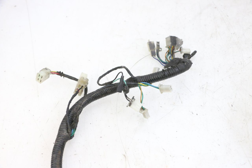 photo de WIRING HARNESS LONGJIA DIGITA 4T 50 (2019 - 2022) - Component detail