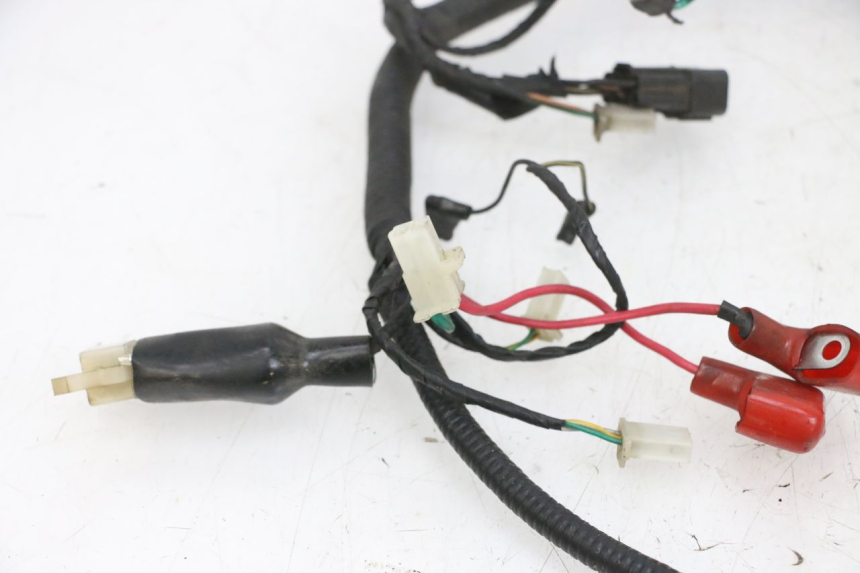 photo de WIRING HARNESS LONGJIA DIGITA 4T 50 (2019 - 2022) - Technical close-up