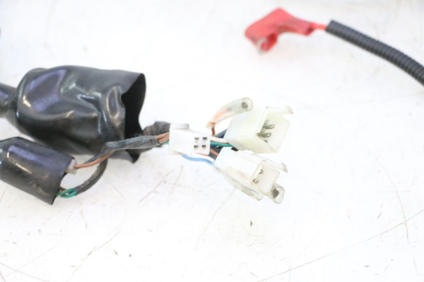 photo de WIRE HARNESS MASH DIRT TRACK 50 (2018 - 2020) - Detailed visual inspection
