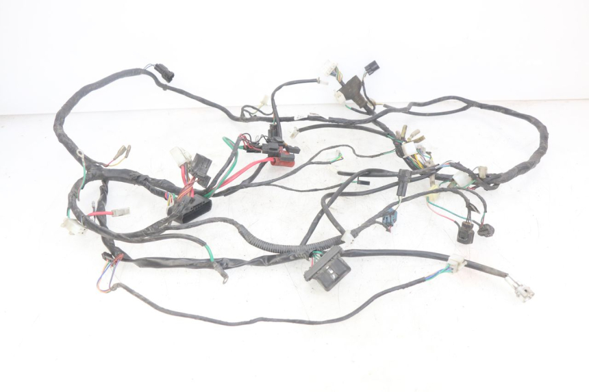 photo de WIRING HARNESS PEUGEOT DJANGO 4T 50 (2014 - 2019) - Main view