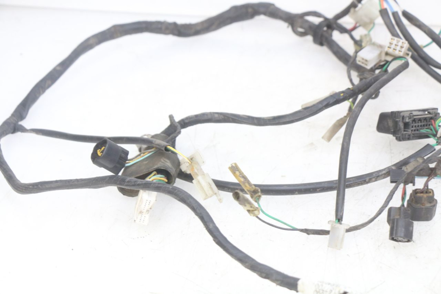 photo de WIRING HARNESS PEUGEOT DJANGO 4T 50 (2014 - 2019) - Zoom on usage condition