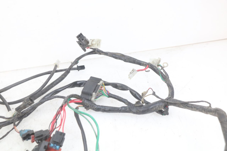 photo de WIRING HARNESS PEUGEOT DJANGO 4T 50 (2014 - 2019) - Alternative perspective