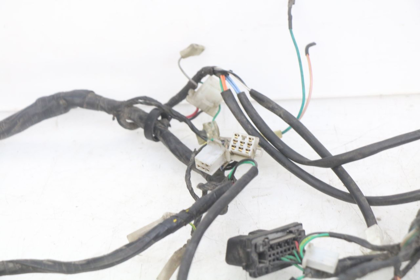 photo de WIRING HARNESS PEUGEOT DJANGO 4T 50 (2014 - 2019) - Technical close-up