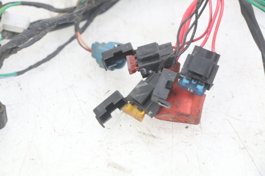 photo de WIRING HARNESS PEUGEOT DJANGO 4T 50 (2014 - 2019) - Product overview