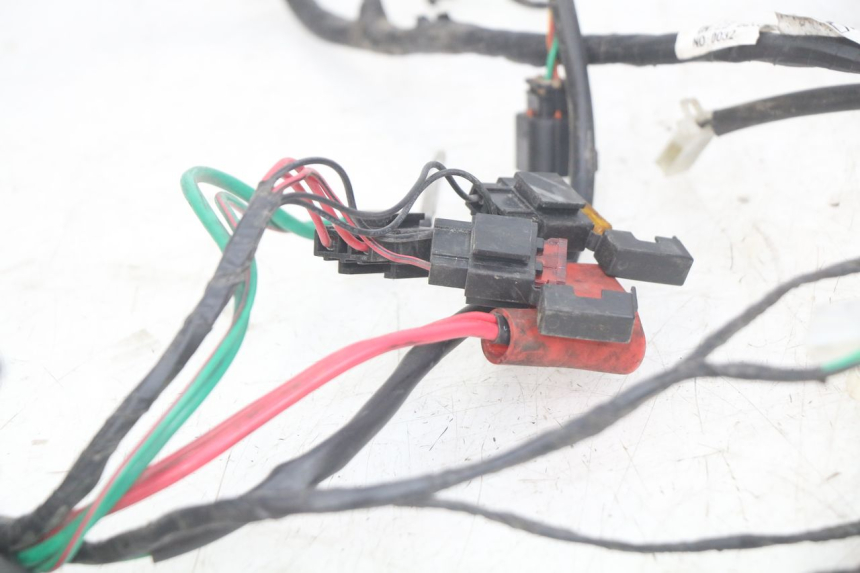 photo de WIRING HARNESS PEUGEOT DJANGO 4T 50 (2014 - 2019) - Checked used part