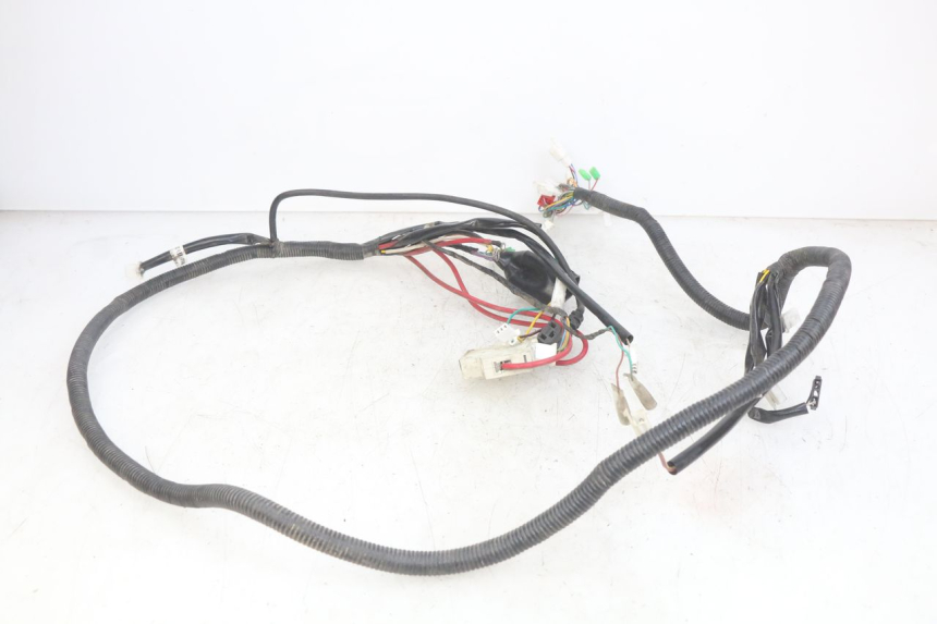 photo de WIRING HARNESS EASY WATTS E-OPAI 1 (2019 - 2024) - Technical close-up