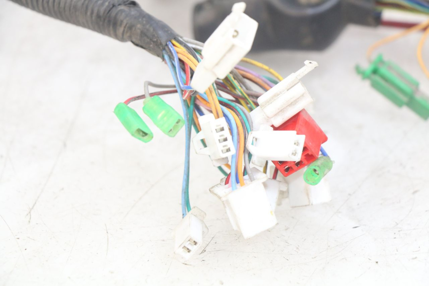 photo de WIRING HARNESS EASY WATTS E-OPAI 1 (2019 - 2024) - Markings and original references