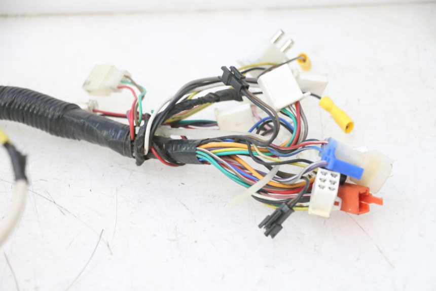 photo de WIRE HARNESS WAYSCRAL E-START 1 (2018 - 2022) - Component detail