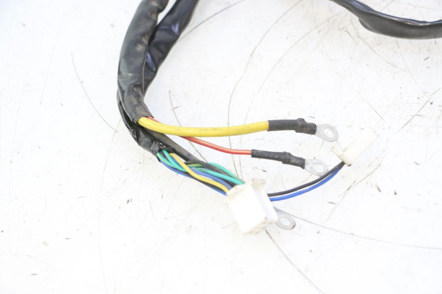 photo de WIRE HARNESS WAYSCRAL E-START 1 (2018 - 2022) - Distinctive features