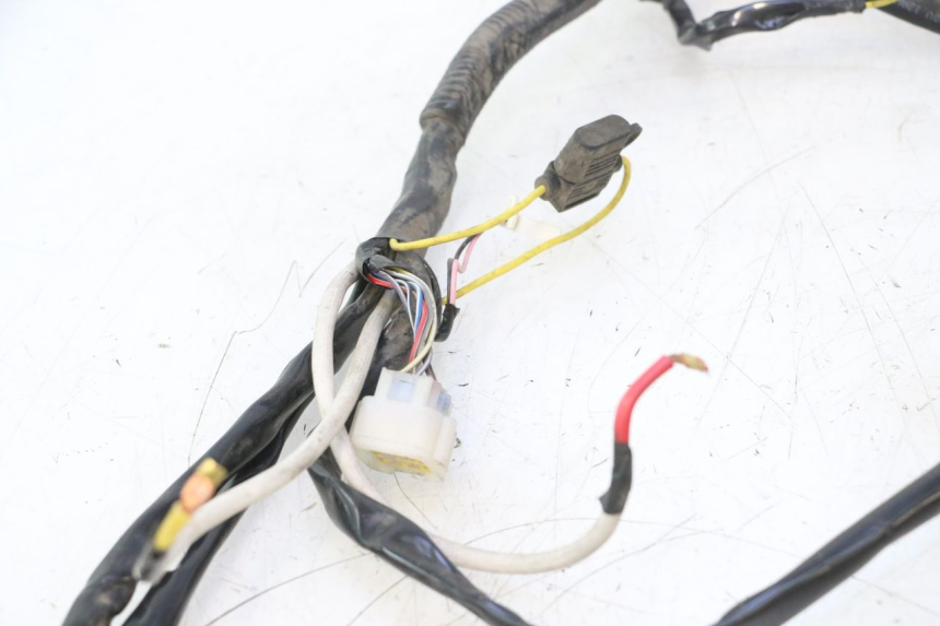 photo de WIRE HARNESS WAYSCRAL E-START 1 (2018 - 2022) - Checked used part