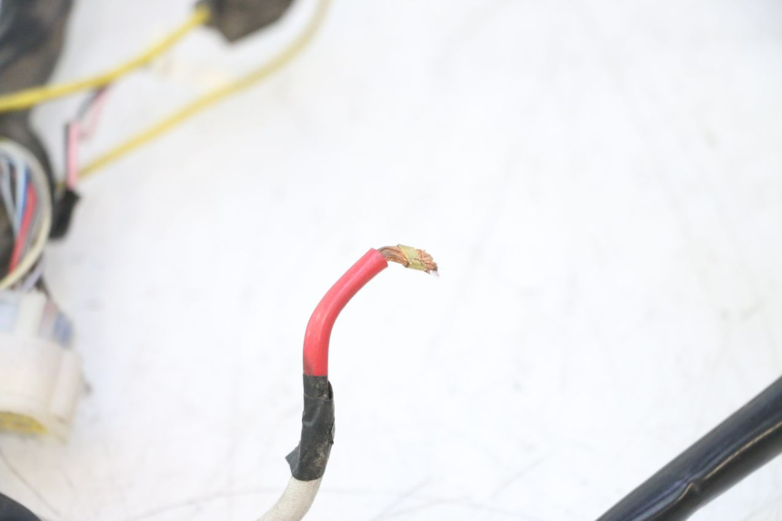 photo de WIRE HARNESS WAYSCRAL E-START 1 (2018 - 2022) - Markings and original references