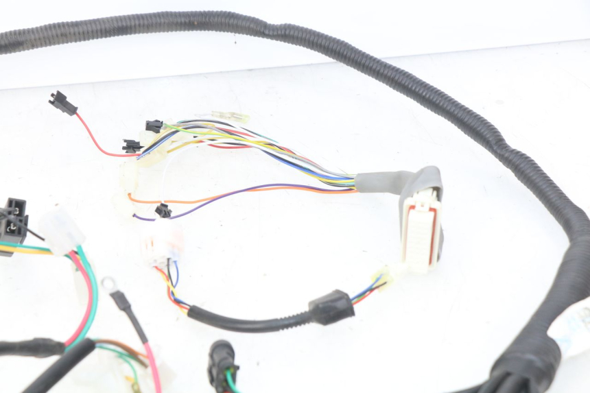 photo de WIRING HARNESS EFUN E2GO 1 (2017 - 2021) - Additional view of the item