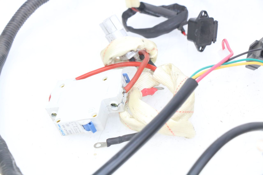 photo de WIRING HARNESS EFUN E2GO 1 (2017 - 2021) - Distinctive features