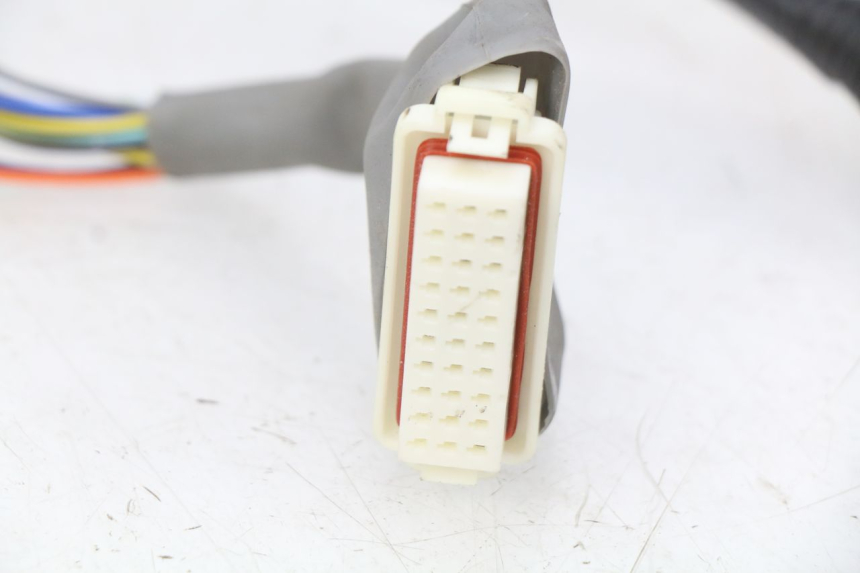 photo de WIRING HARNESS EFUN E2GO 1 (2017 - 2021) - Technical close-up