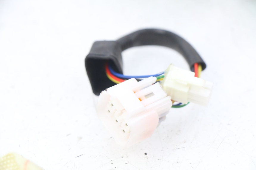 photo de WIRING HARNESS EFUN E2GO 1 (2017 - 2021) - Product overview